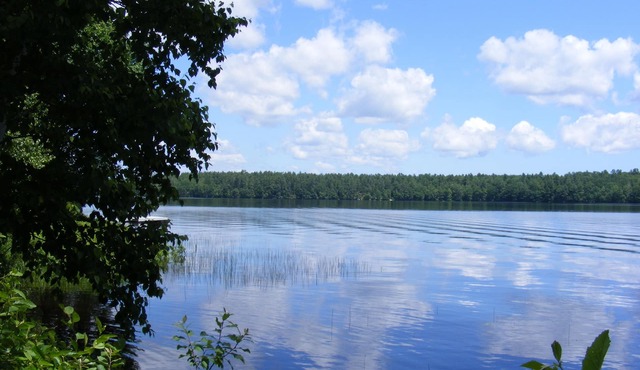Pine Knoll Cottage - Scenic cottage on Pemaquid Lake