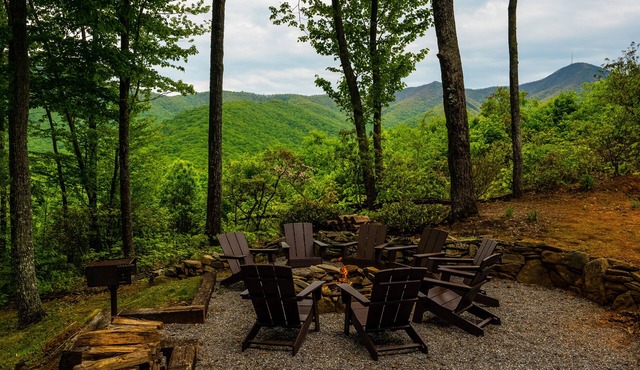 Pisgah Peaks, our mountain top oasis! Renovated Asheville area modern cabin!
