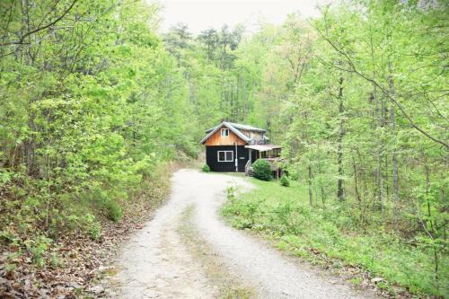Private Forest Getaway 3-BR wHot Tub