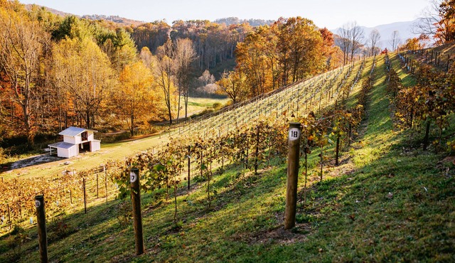 Private Vineyard Getaway!