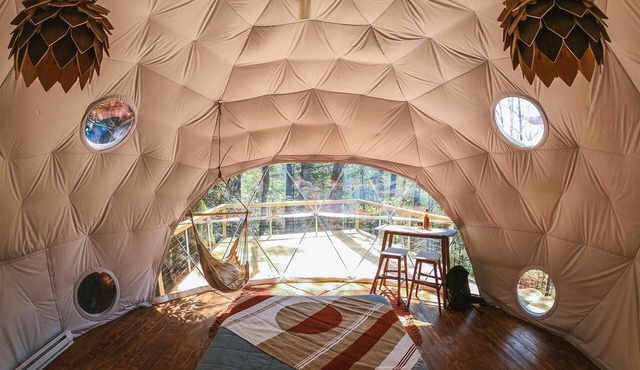 Puma Dome Treehouse: part of the dome town village
