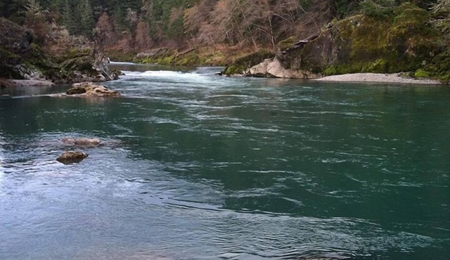 River Vista Homes: Perfect for Fishing, Swimming, and Relaxing by the Water