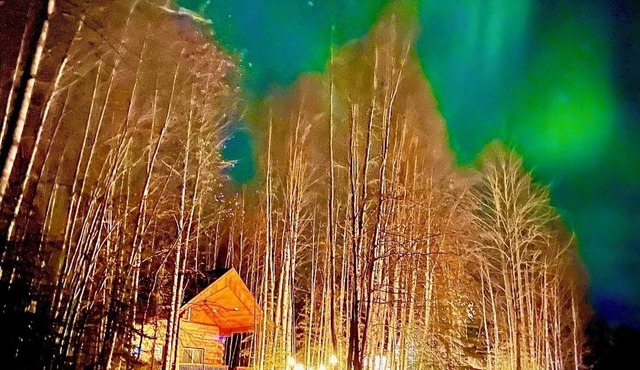 Riverfront, Authentic, Luxury Log Cabin-Black Bear