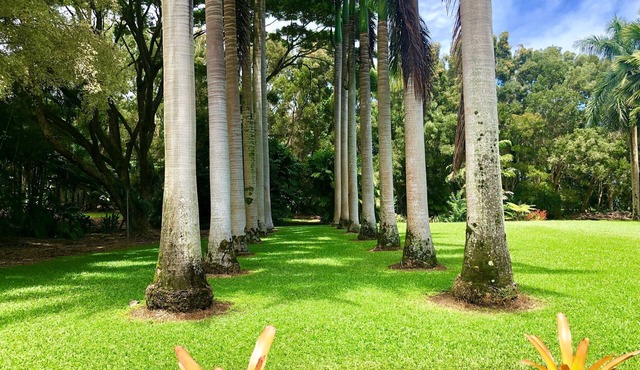 Royal Palm Cottage/5 mins from beach/Akaka Falls/Private Lanai