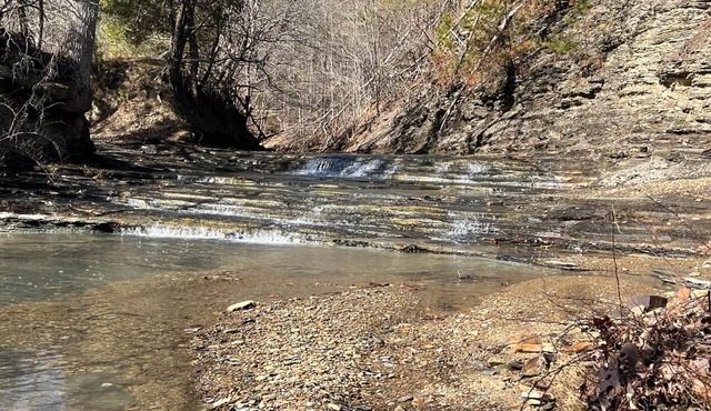 RV Campground at The Holler #2
