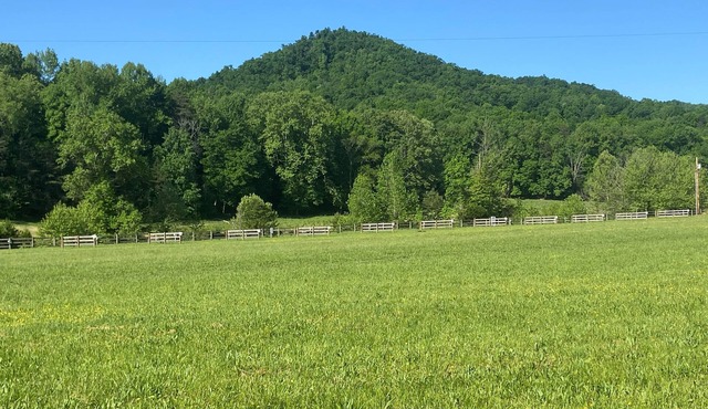 RV Campground at The Holler #8