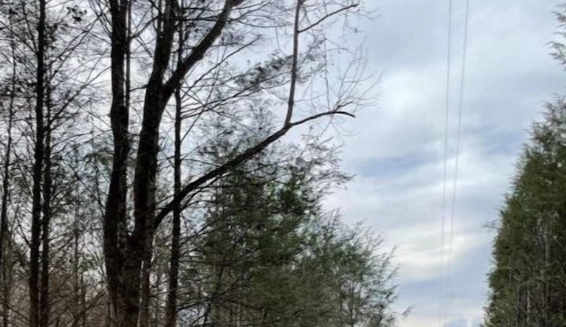 Safe Haven Farm RV Spot #2