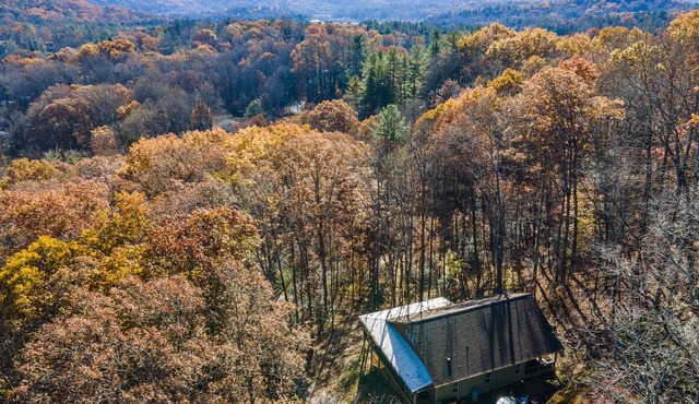 Secluded Cabin! Renovated w Game room, Hot Tub.