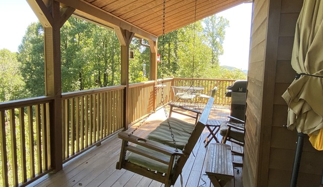 Sky Dog Pet Friendly Home Dupont Brevard Hiking Mountain Biking Porch Waterfalls