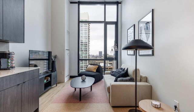 South Loop Rooftop With In and Out Parking 3