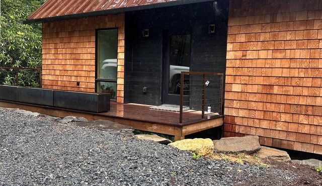 Stunning brand new modern 2-bedroom cabin in beautiful Brevard with AC, WiFi