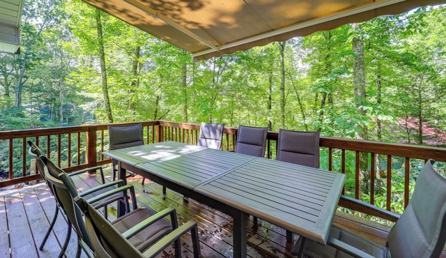Stunning Cottage in the Blue Ridge Mountains!