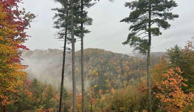 Sweet Rock Cabin - Romantic, Sauna, Views, Hot Tub