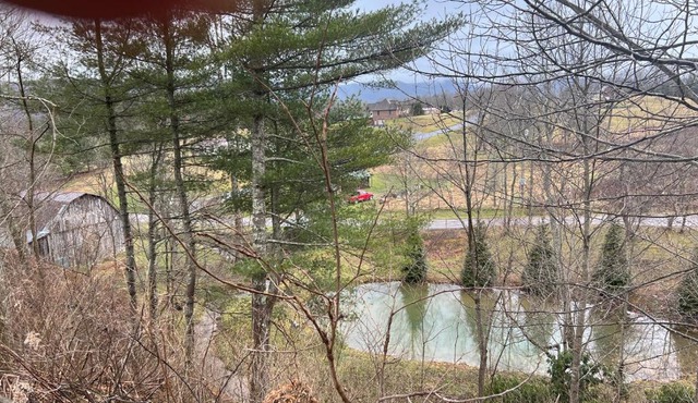 Swift Hollow Memories