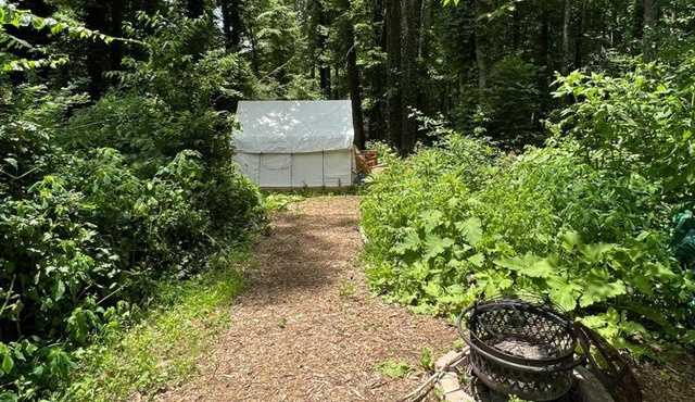 Tentrr Signature Site - Summer Haven Campsite