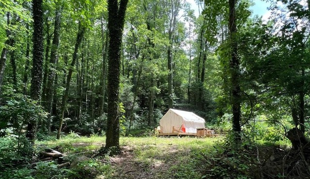Tentrr Signature Site - Summer Haven Campsite #2