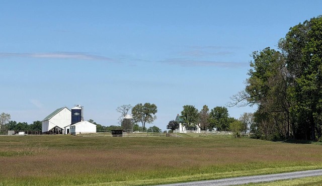 Terrific restored modern farmhouse on 75 acre preserve near Shepherdstown.
