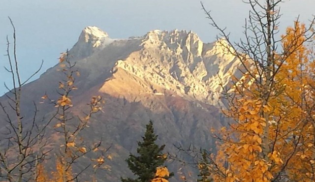 The Kuskulana at Currant Ridge - Deluxe Private Lodging!