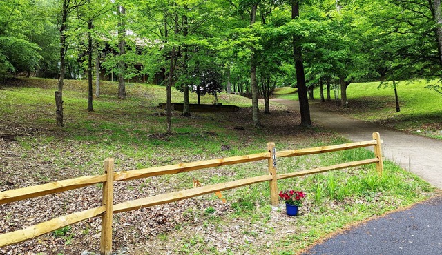 TRANQUIL WILDWOOD HIDEAWAY SECLUDED HOLLOW, 10 MILES FROM EVERYTHING! SLEEPS 4.