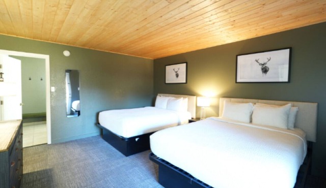 Updated Family Getaway Suite
