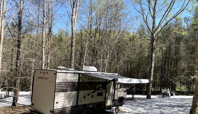 Wolf Pup RV