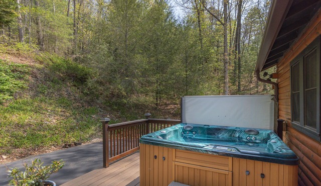 Your Smoky Mountain Cabin suite…In the heart of the Smokies. Dog friendly!