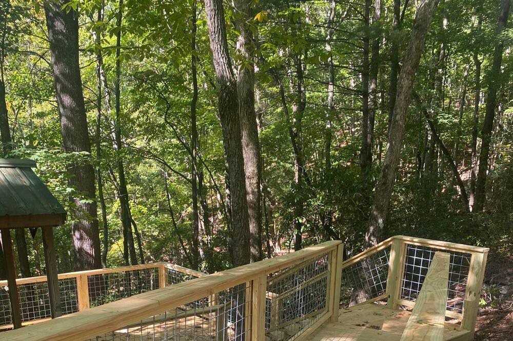 Photo of Outdoor in Millers Creek