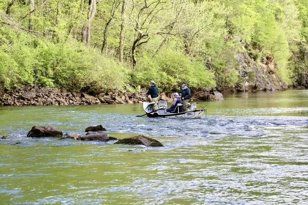 Photo of Others in Watauga