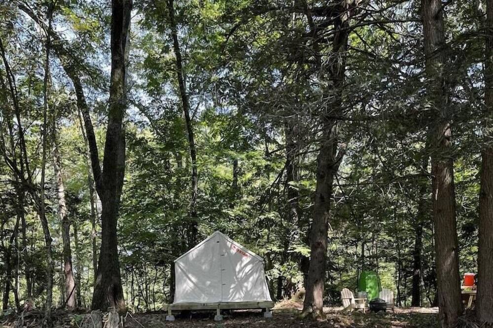 Photo of Others in Watauga