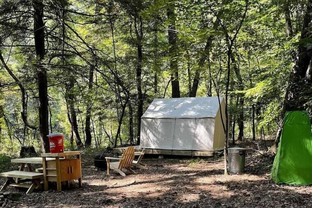 Photo of Others in Watauga