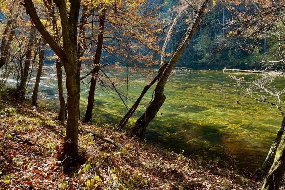 Photo of Others in Watauga