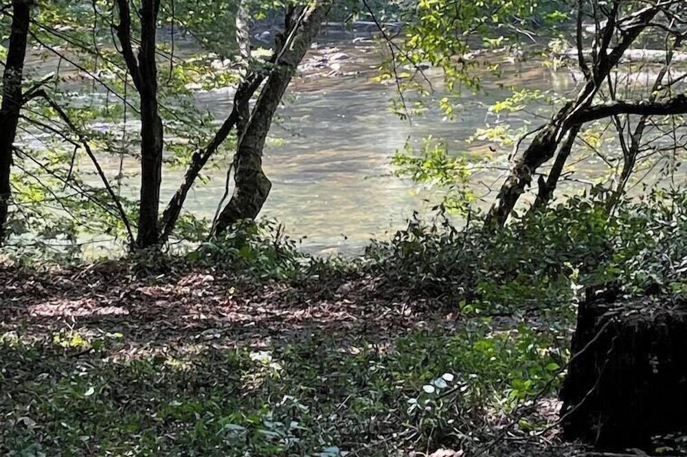 Photo of Others in Watauga