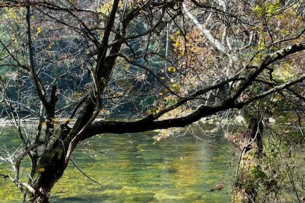 Photo of Others in Watauga