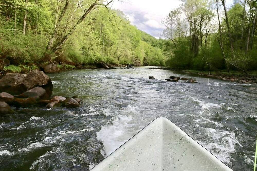 Photo of Others in Watauga