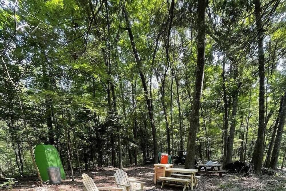 Photo of Others in Watauga