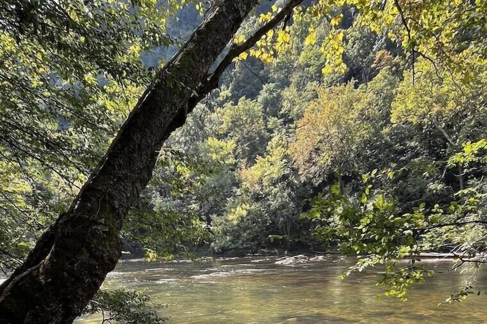 Photo of Others in Watauga