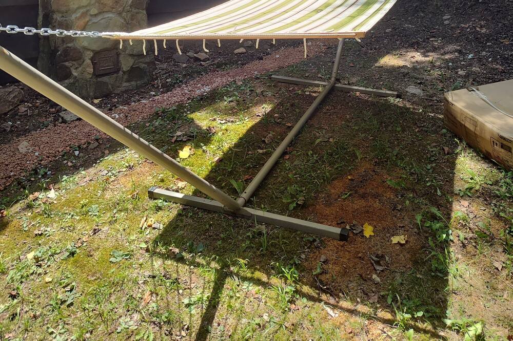 Photo of Outdoor in Duck