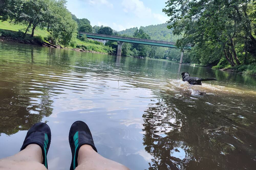 Photo of Others in Duck