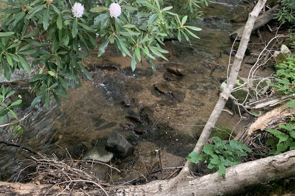 Photo of Outdoor in Bakersville