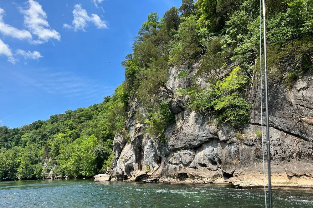 Photo of Others in Johnson City