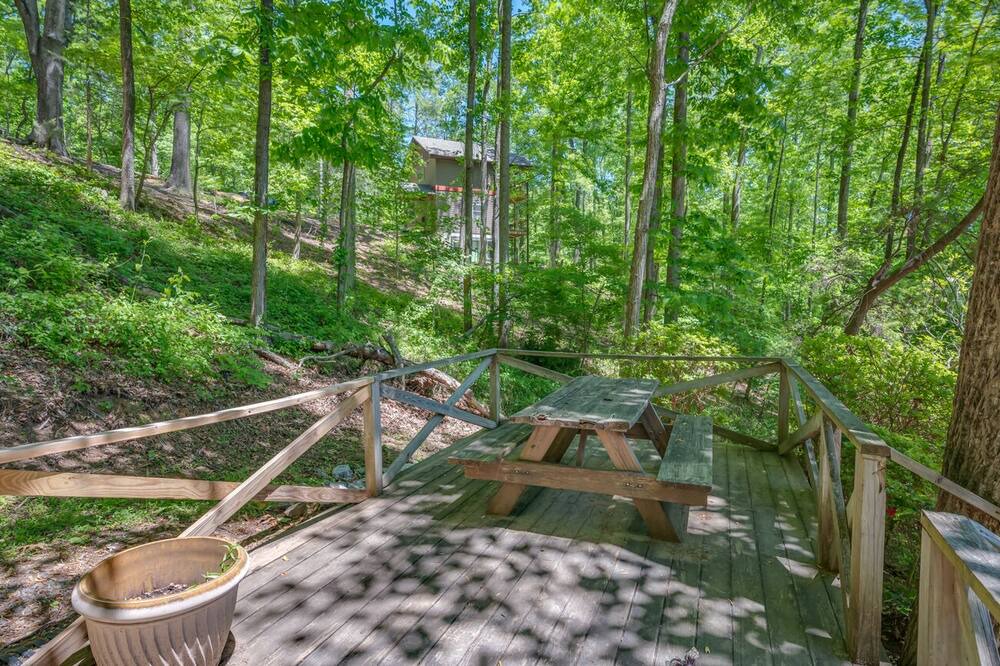 Photo of Outdoor in Lake Lure