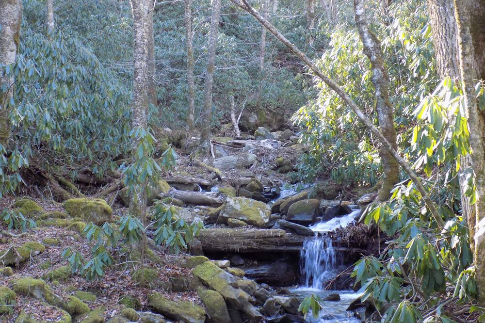 Photo of Others in Sugar Mountain