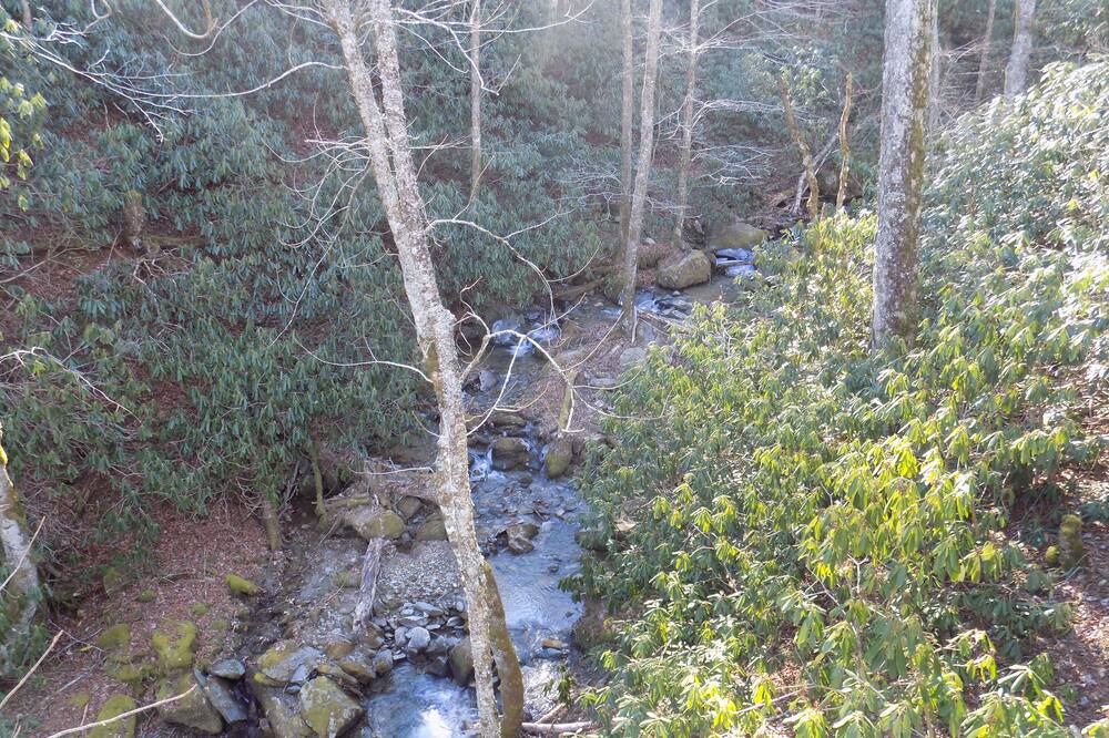 Photo of Others in Sugar Mountain