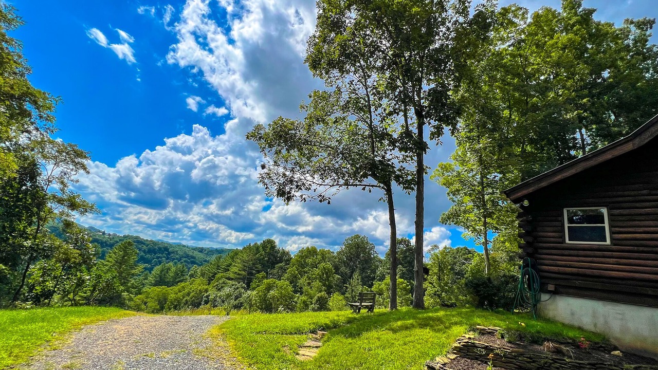 Photo of Outdoor in Lansing