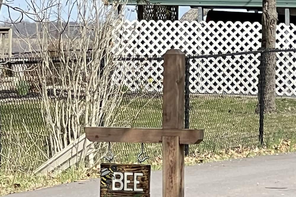 Photo of Outdoor in Jonesville