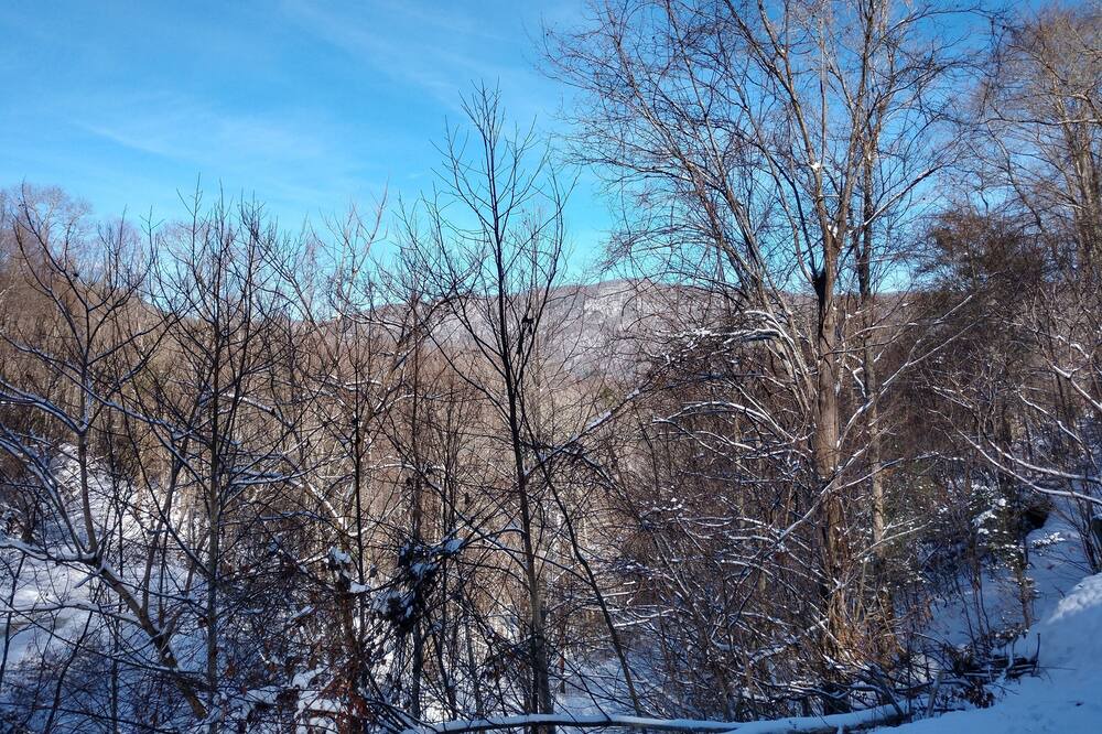 Photo of Others in Roan Mountain