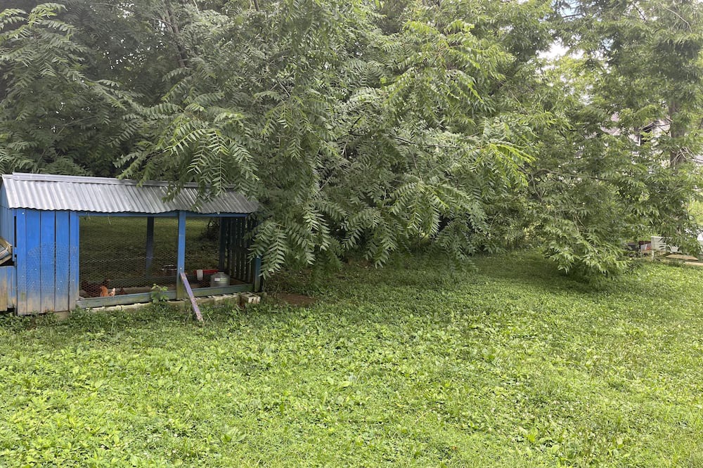 Photo of Outdoor in Winchester