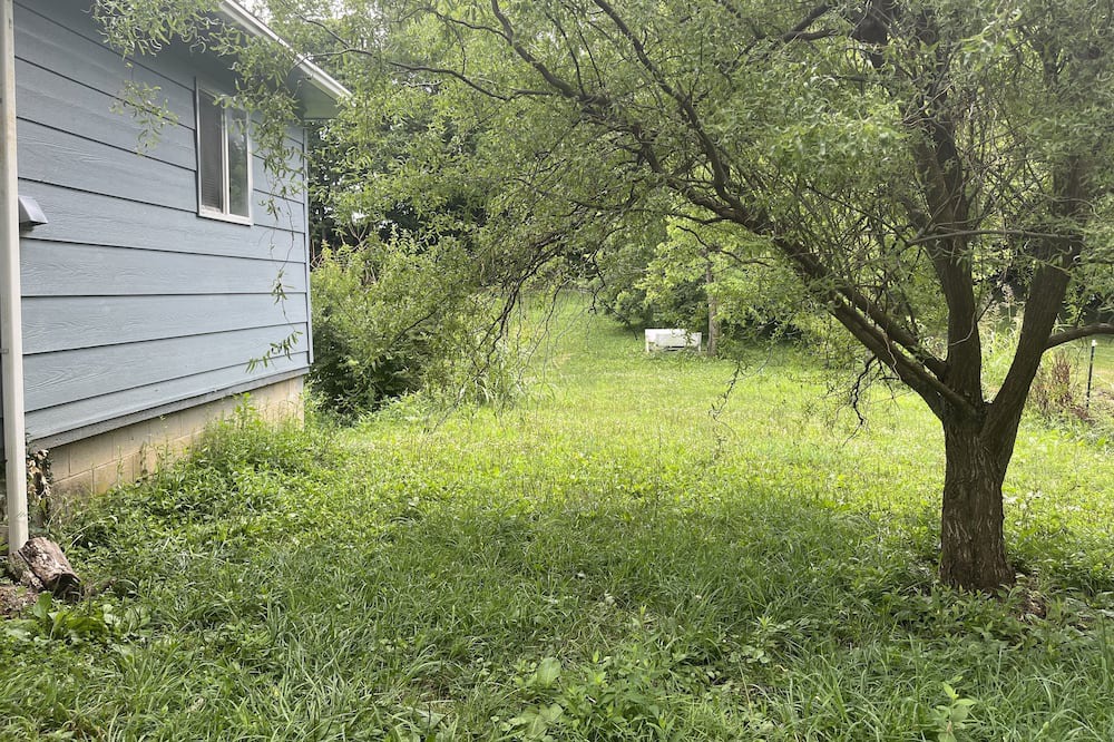 Photo of Outdoor in Winchester