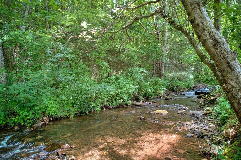 Photo of Others in Roan Mountain