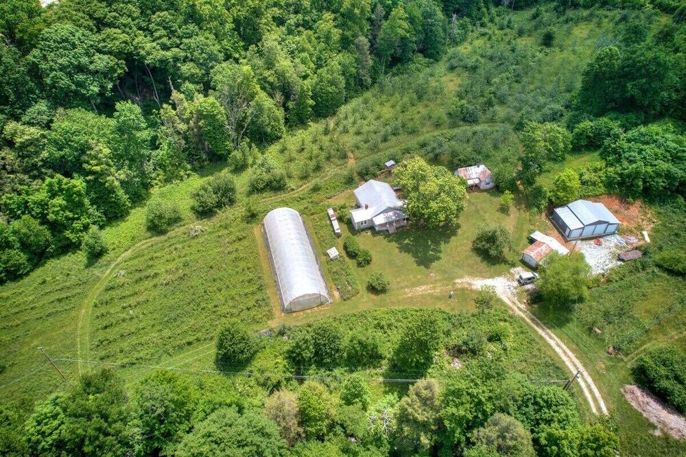 Photo of Others in Roan Mountain